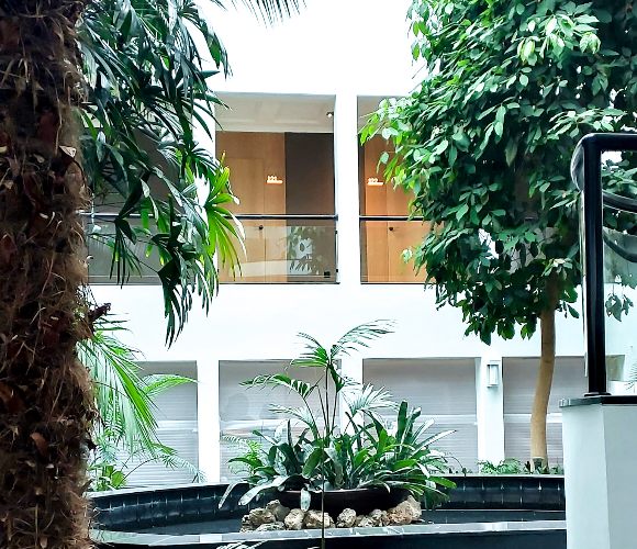 gallery1